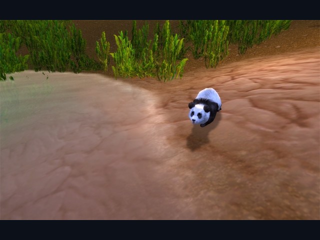 Panda Collar
