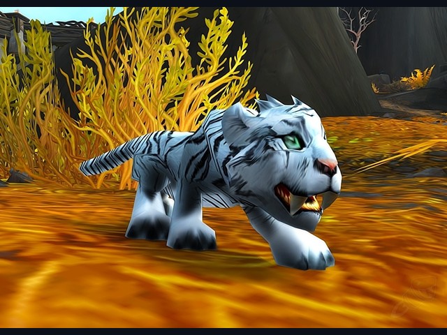 White Tiger Cub