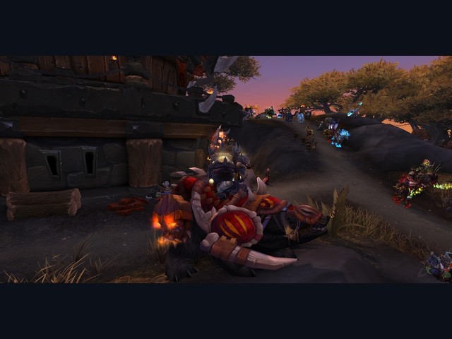 Amani War Bear