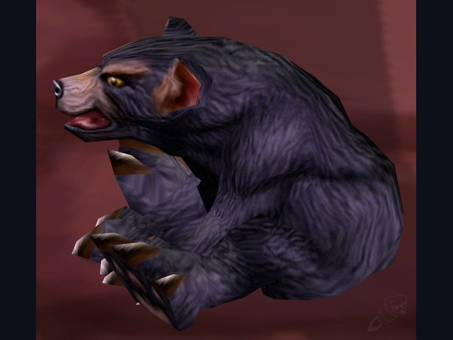 Dun Morogh Cub
