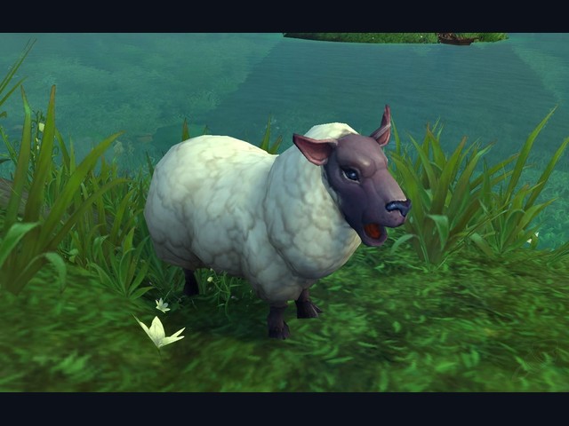 Elwynn Lamb