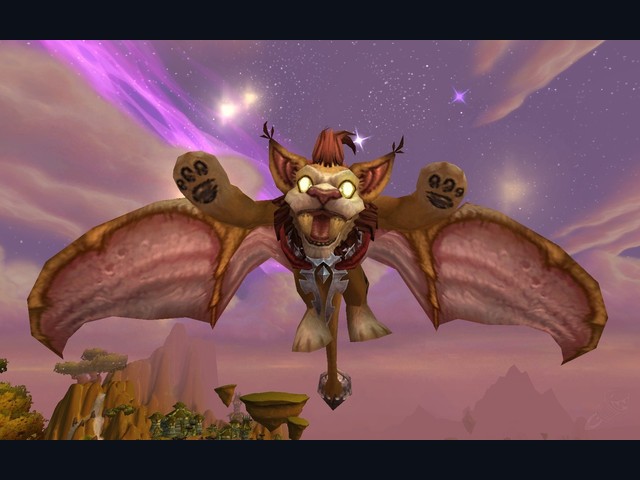 Wind Rider Cub